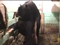 Horse fucks a Young Girl by putting wang inside the cunt